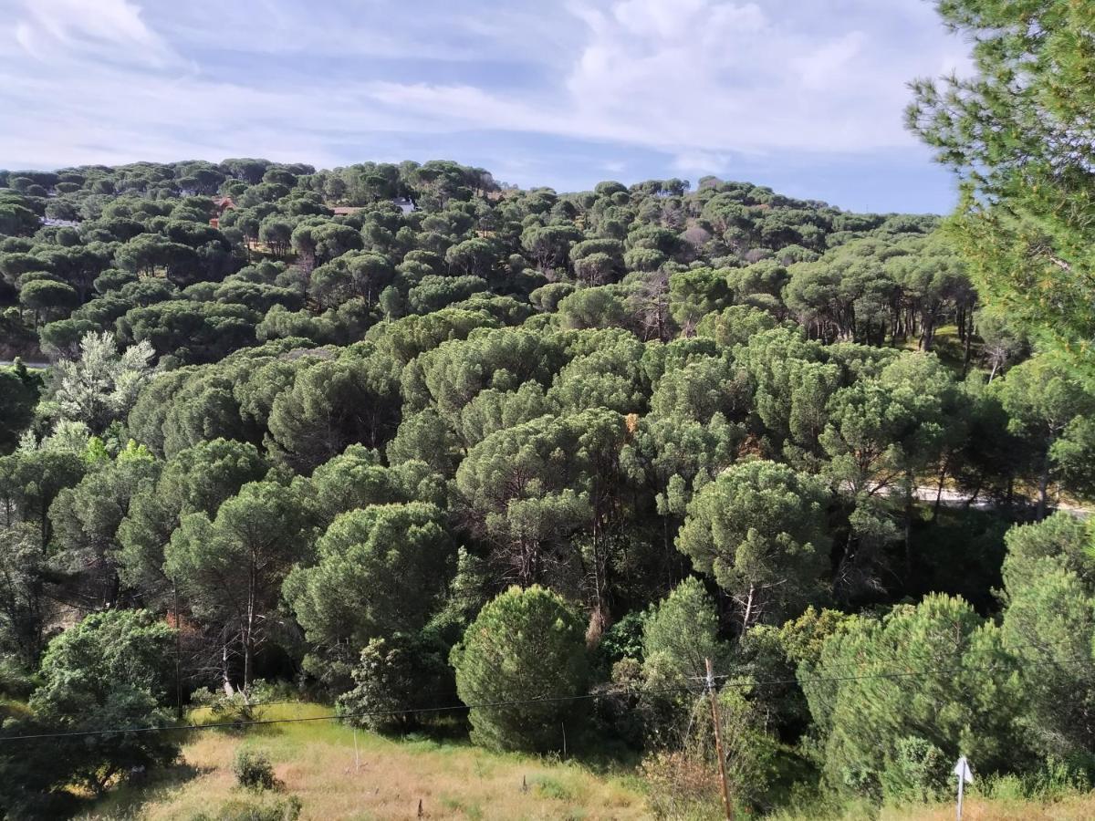 Appartamento El Mirador De Bacha San Martín de Valdeiglesias Esterno foto