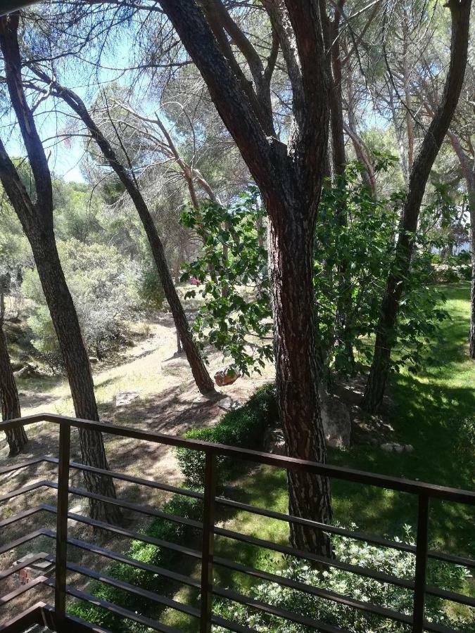 Appartamento El Mirador De Bacha San Martín de Valdeiglesias Esterno foto